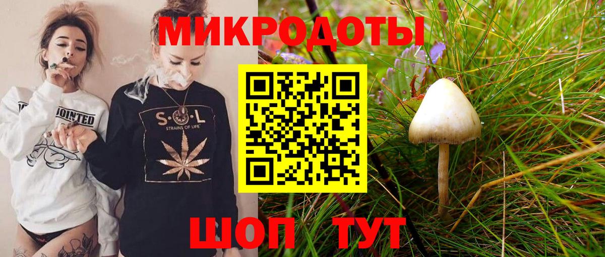 Галлюциногенные грибы Psilocybe Коммунар