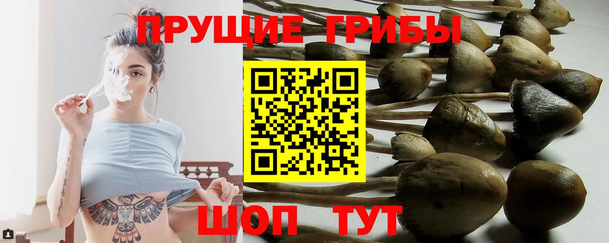Галлюциногенные грибы мухоморы  Псилоцибиновые грибы прущие грибы  Коммунар  Вход с VPN 